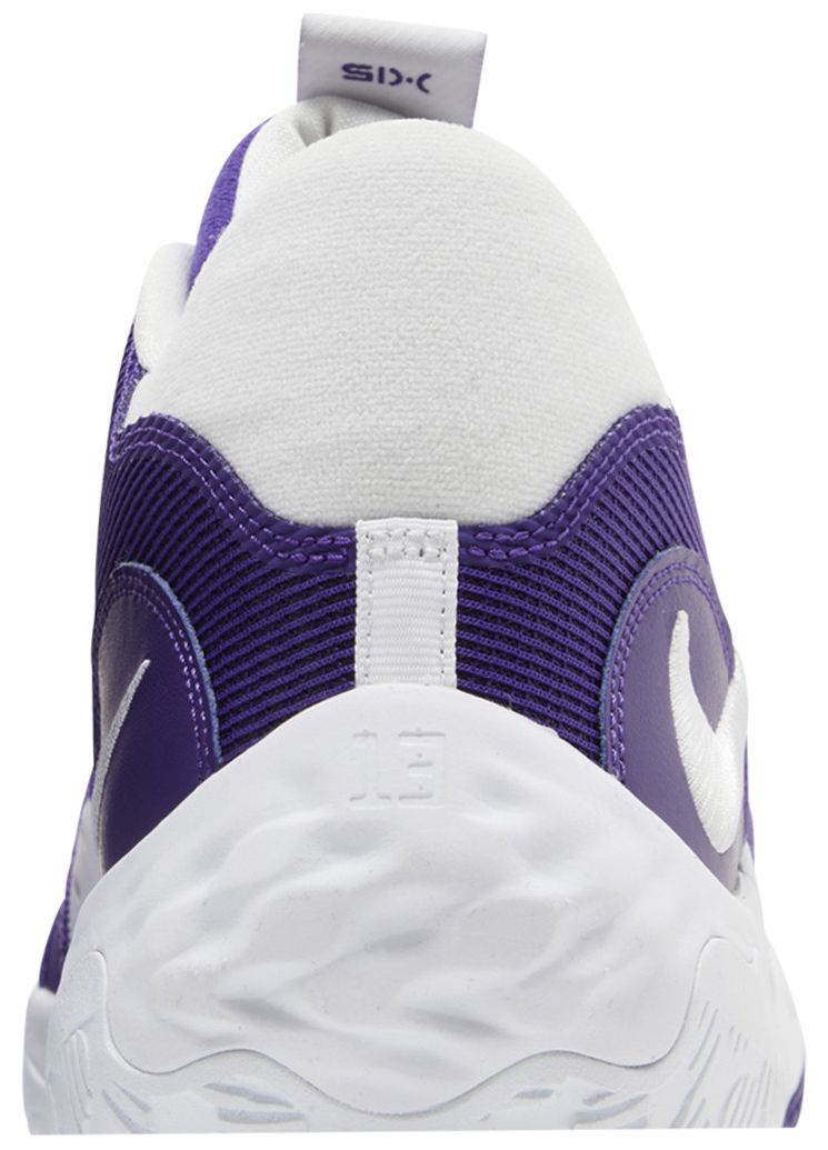 Nike PG 6 TB Promo Court Purple