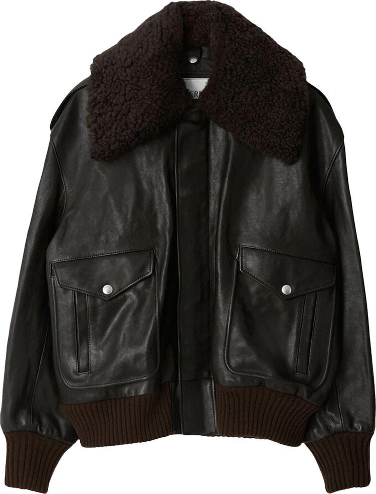 Burberry Shearling Collar Leather Jacket 'Otter'