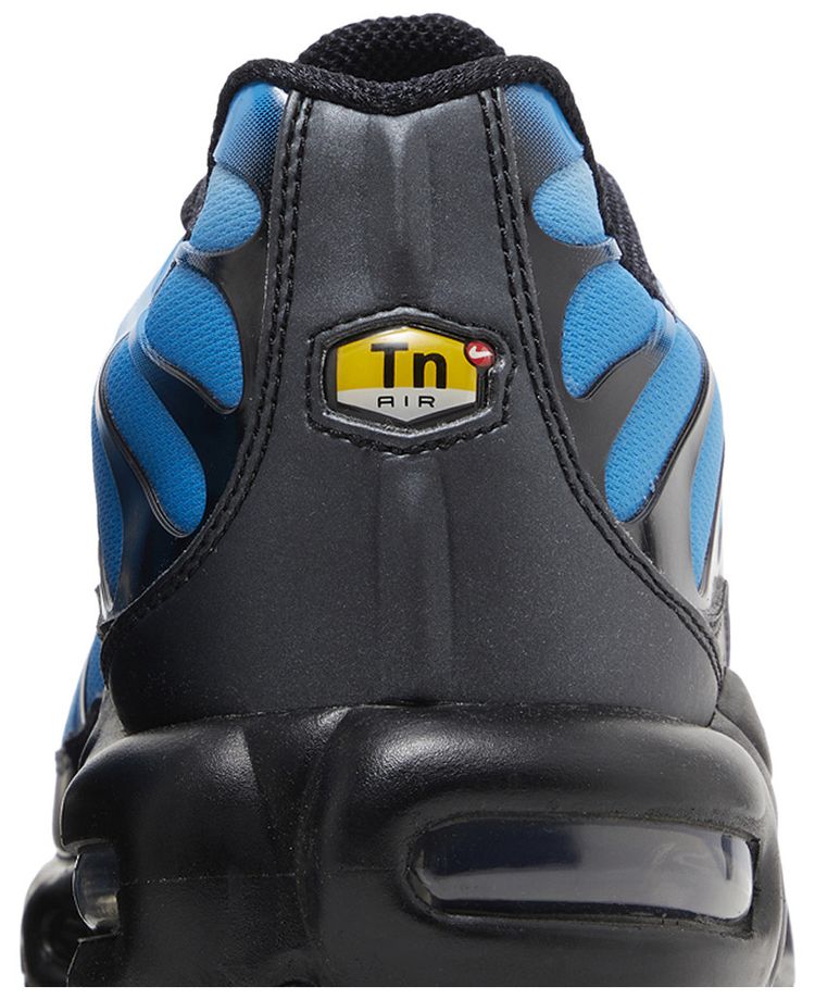 Nike Air Max Plus Neptune Blue