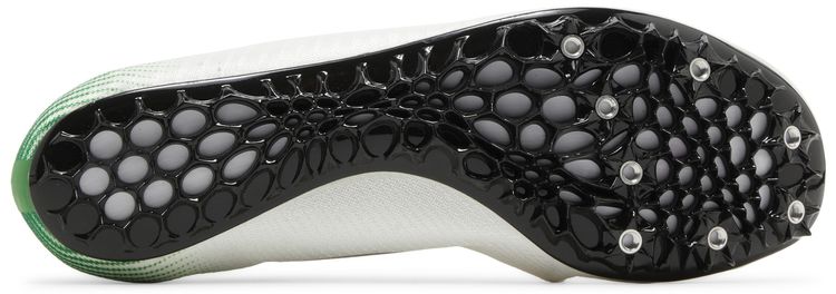 Nike Zoom Ja Fly 3 Oregon Ducks