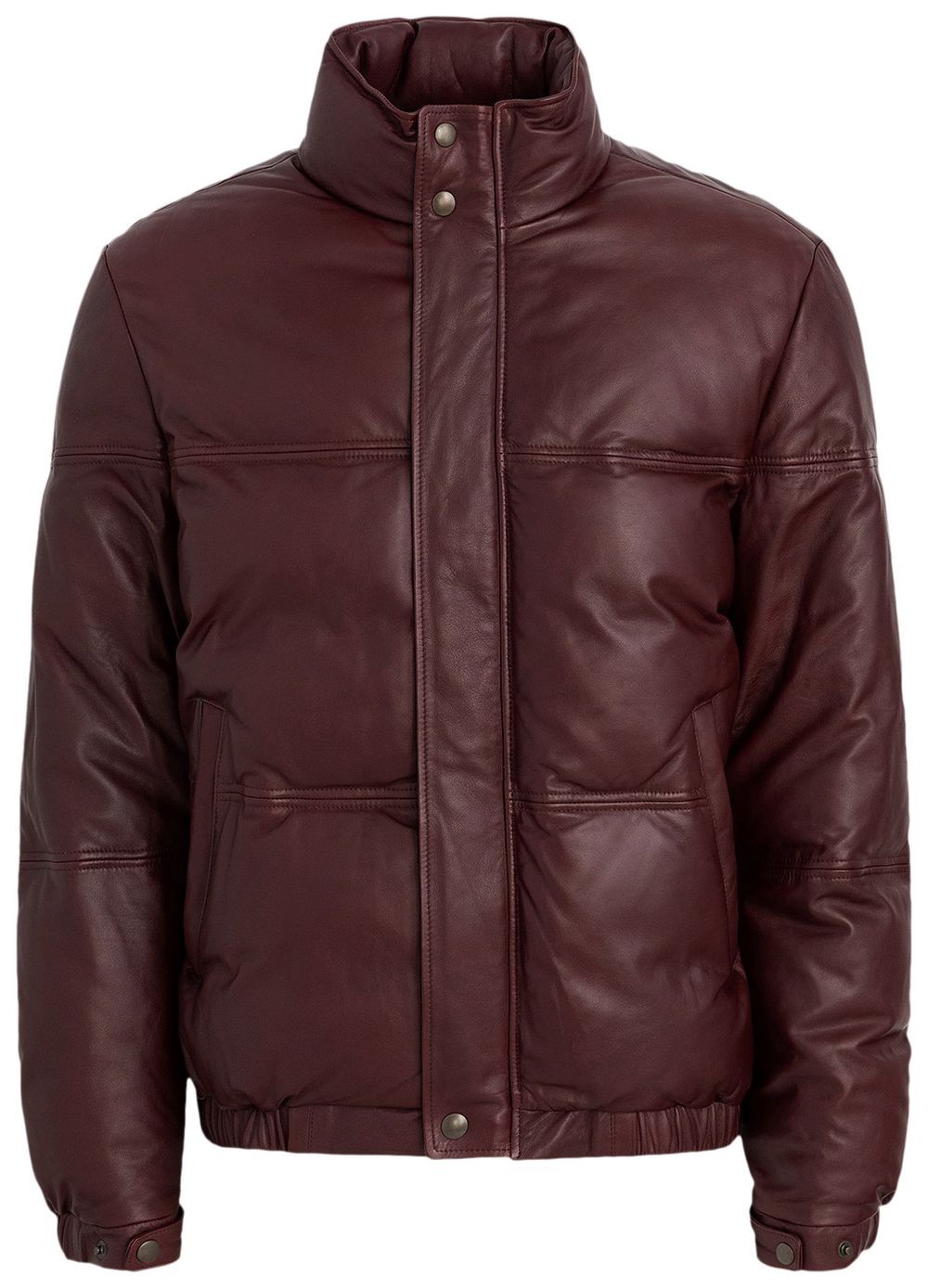 0099~Hooded AILIE Down Jacket