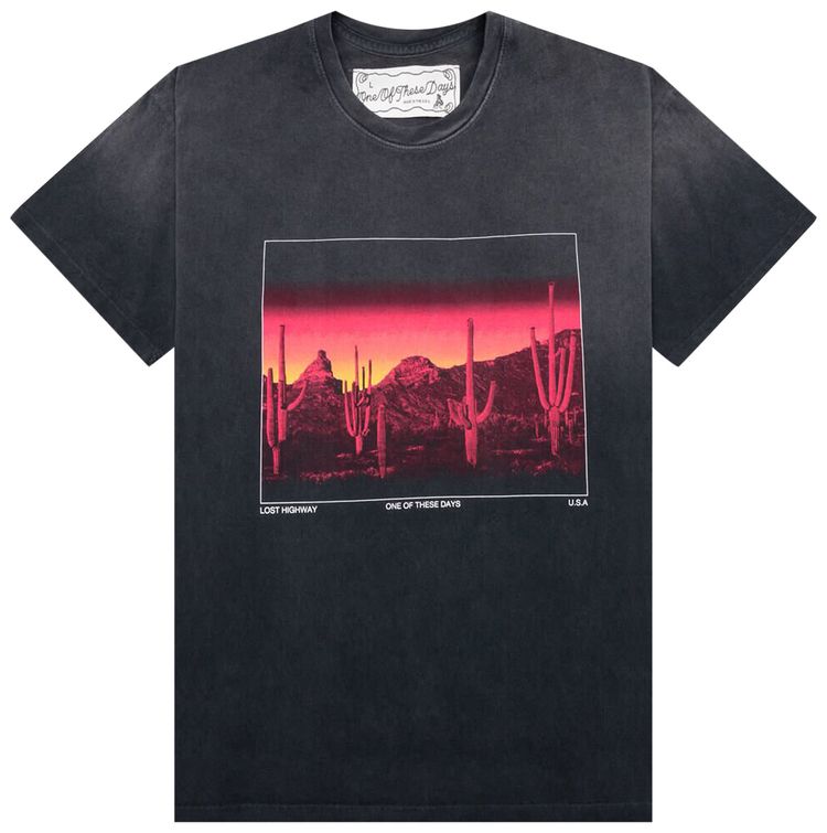 One Of These Days Burning Landscape Tee Washed Black