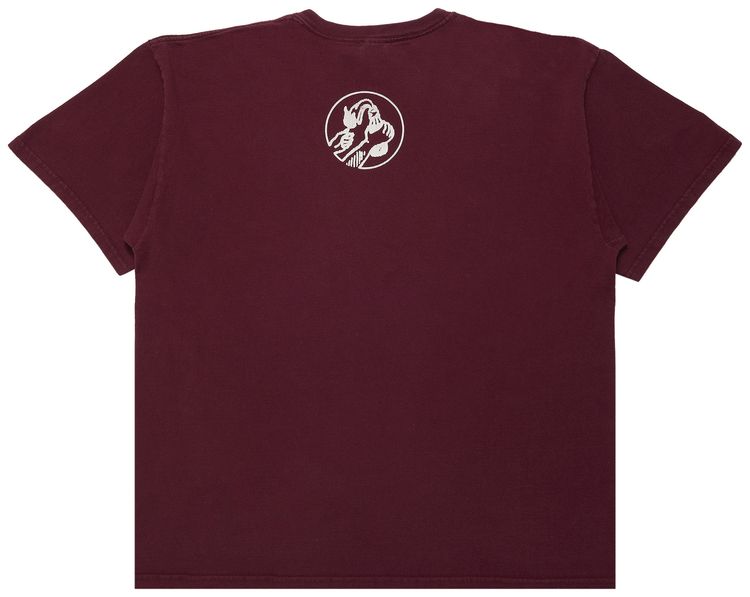 Vintage Rage Against The Machine Molotov T Shirt Burgundy