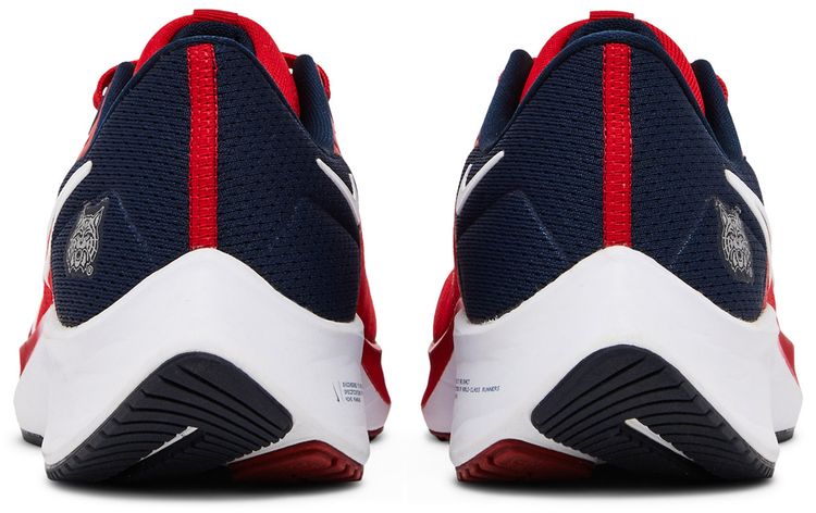 Nike Air Zoom Pegasus 38 Arizona