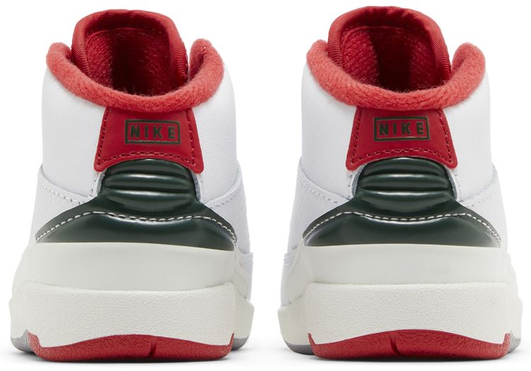 Air Jordan 2 Retro TD Origins