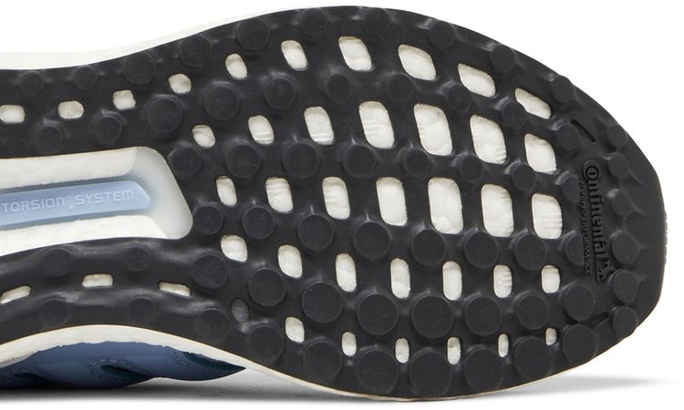 Adidas Wmns UltraBoost 10 Halo Blue