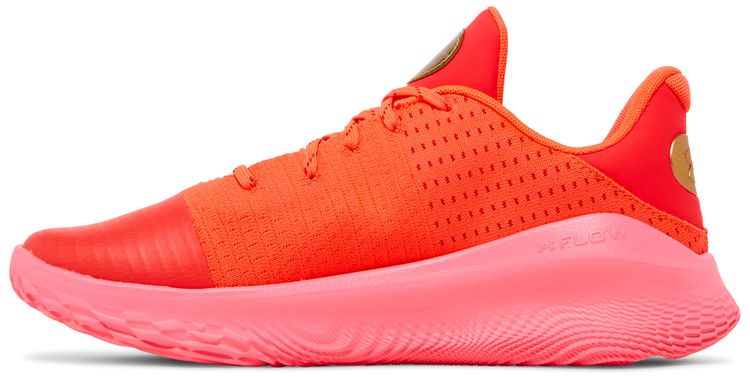 Curry 4 Low FloTro Flooded