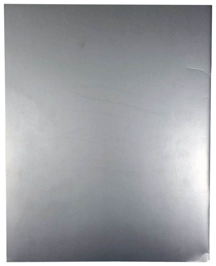 Diane Keaton by Andy Warhol