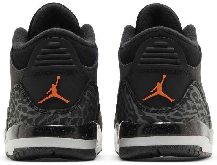 Air Jordan 3 Retro TD Fear 2023