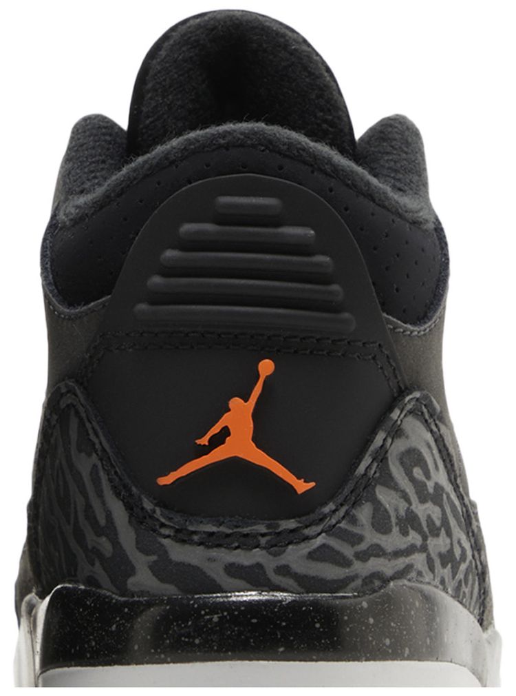 Air Jordan 3 Retro TD Fear 2023