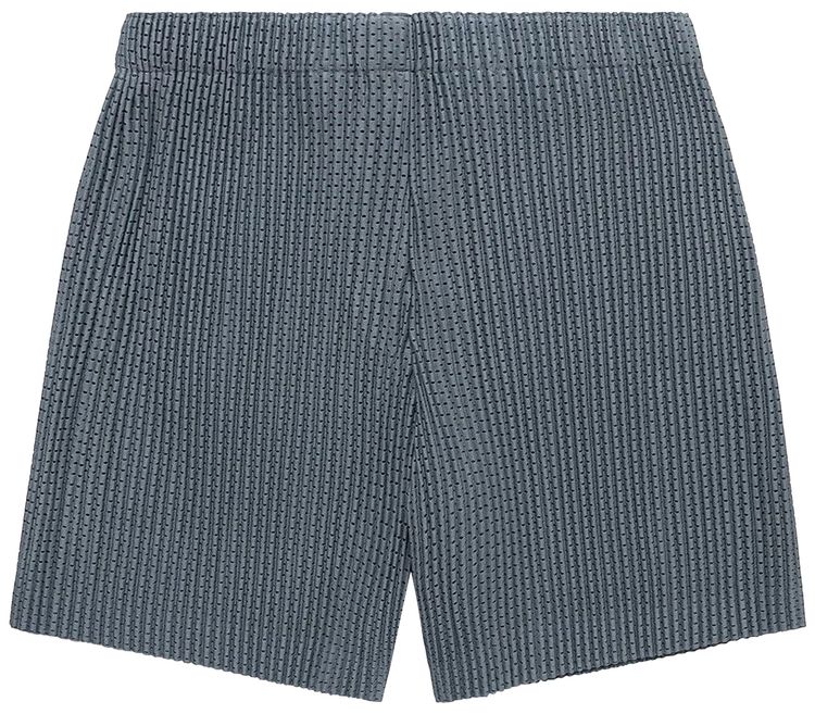 Homme Plisse Issey Miyake Outer Mesh Shorts Grey