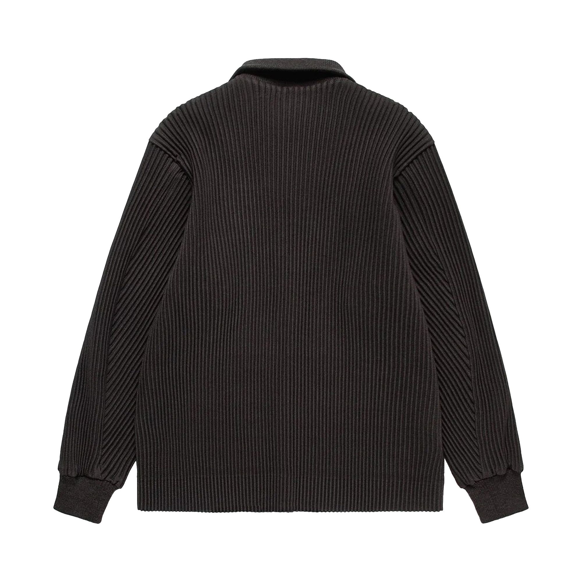 Buy Homme Plissé Issey Miyake Kersey Pleats 'Brown' - HP38FC308 44