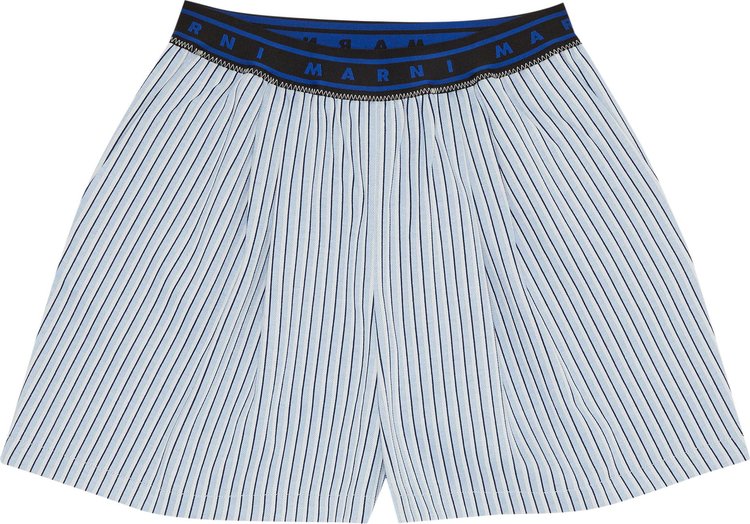 Marni Stripe Jersey Jacquard Pants Vivid Blue