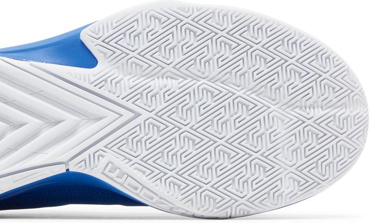 Nike Zoom Freak 5 TB Game Royal