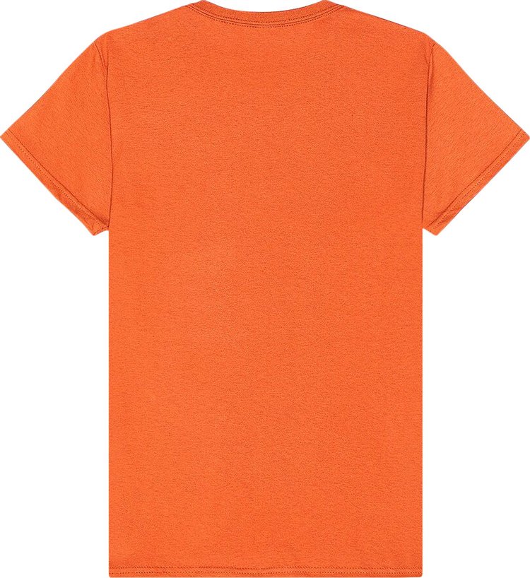 Pleasures Dont Care Tee Orange