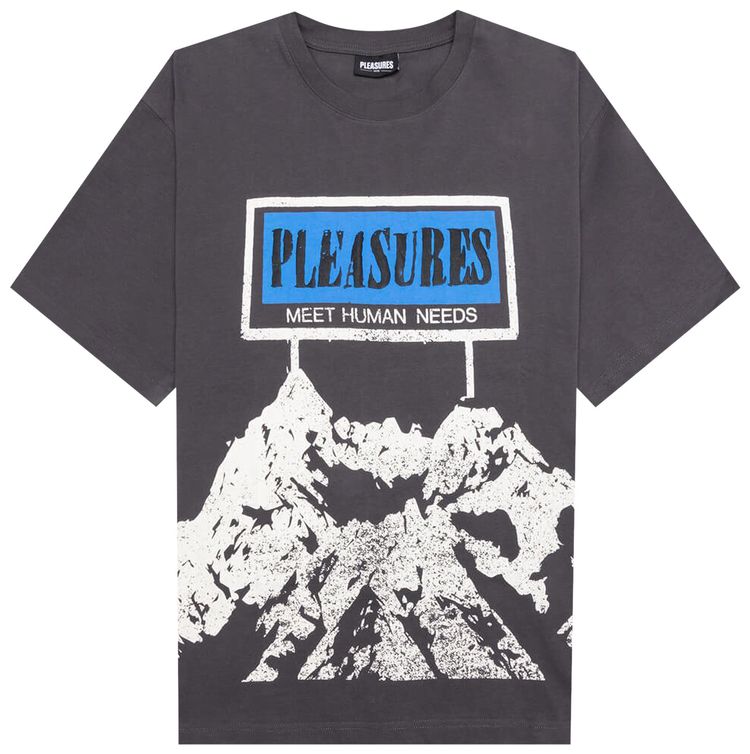Pleasures Human Needs Heavyweight Shirt Grey