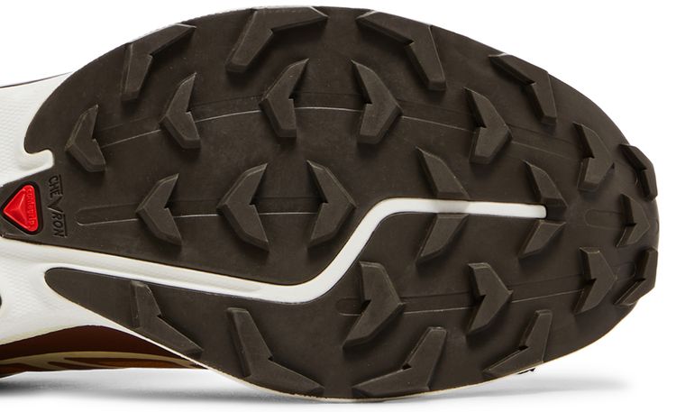 END x Salomon XT 6 Porcini