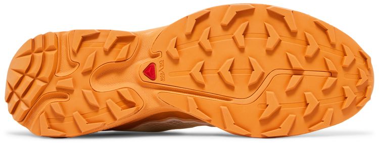 Salomon XT 6 FT Vanilla Ice Hazelnut