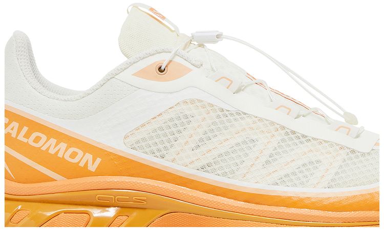 Salomon XT 6 FT Vanilla Ice Hazelnut