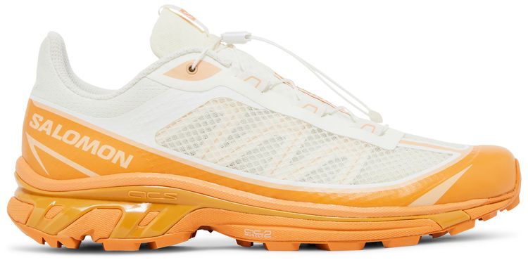 Salomon XT 6 FT Vanilla Ice Hazelnut