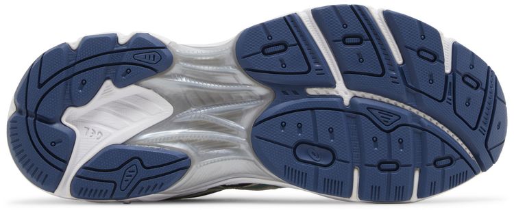 Asics Wmns GT 2160 Winter Garden Pack