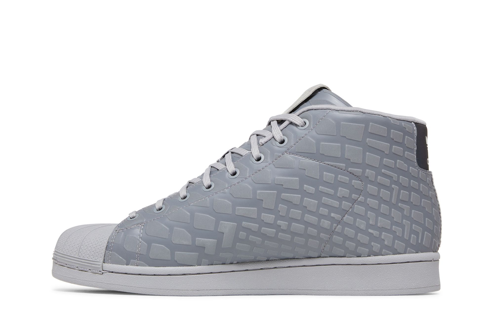 Pro model xeno cheap