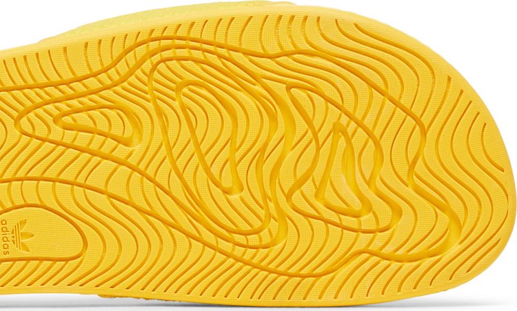 Pharrell x Chancletas Hu Slides Bold Gold