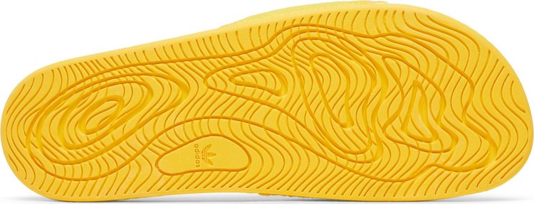 Pharrell x Chancletas Hu Slides Bold Gold