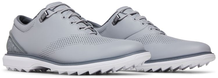 Jordan ADG 4 Wolf Grey