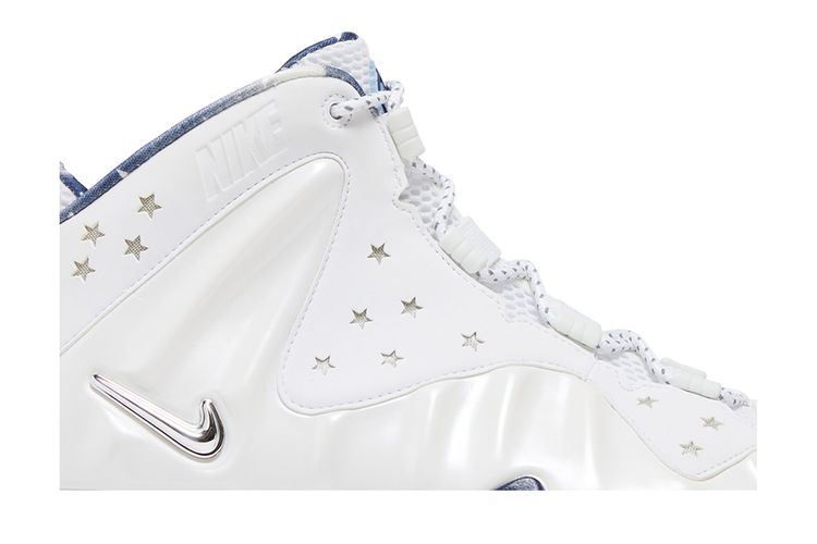 Buy Nike Barkley Posite Max  display picture 1