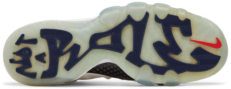 Nike Barkley Posite Max USA