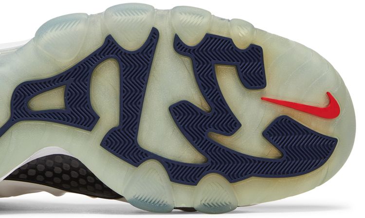 Nike Barkley Posite Max USA