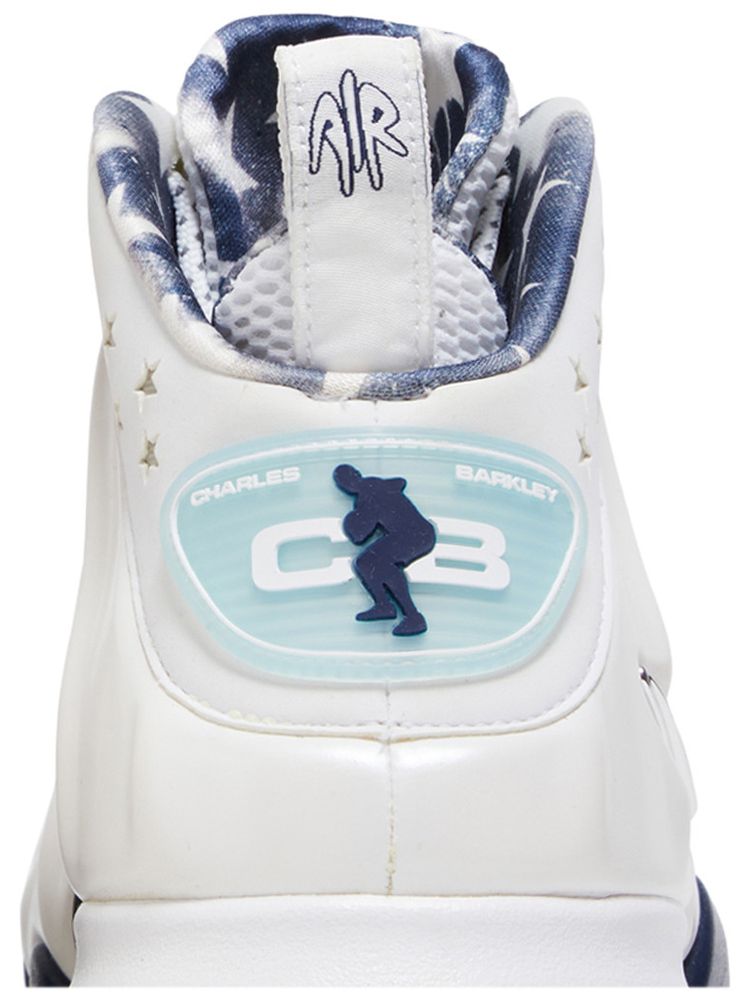 Nike Barkley Posite Max USA