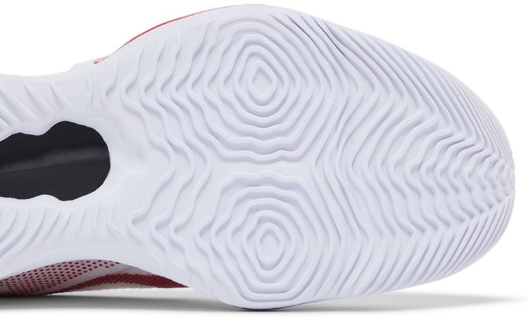 Air Zoom BB NXT TB University Red