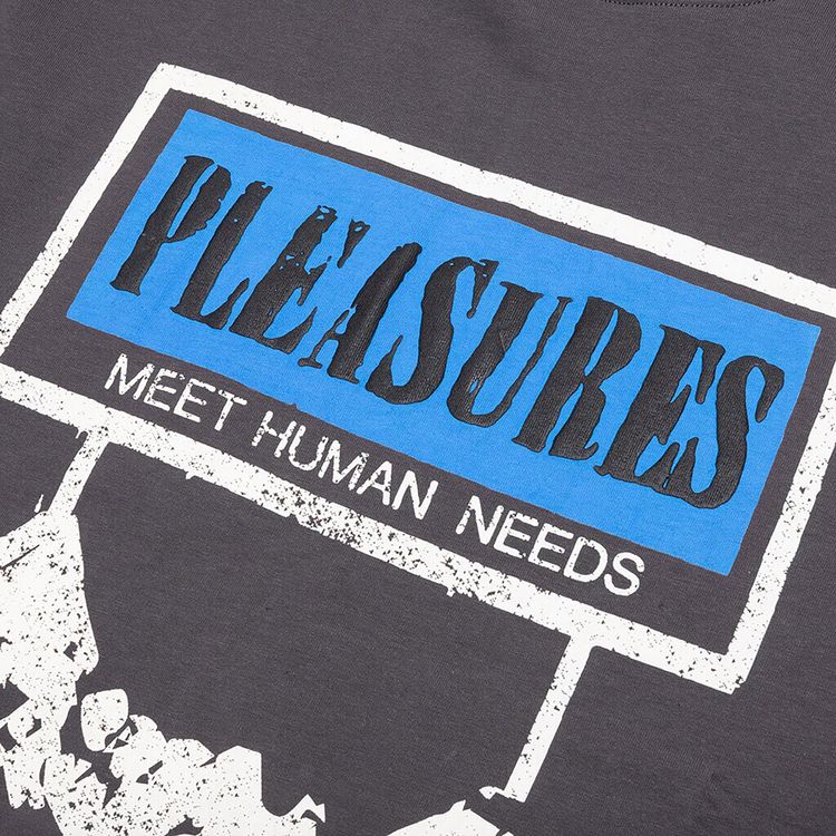 Pleasures Human Needs Heavyweight Shirt Grey