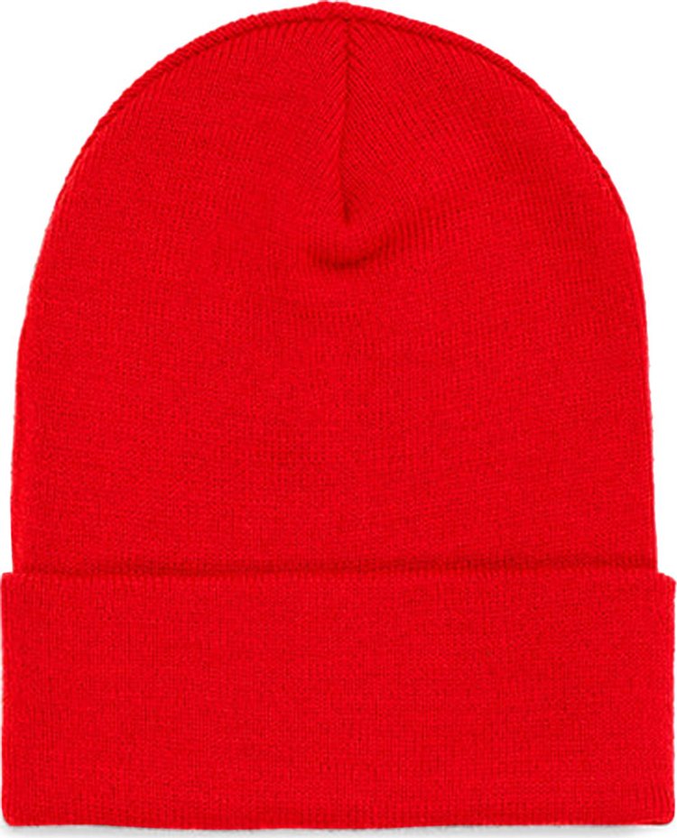 Sp5der Web Beanie Red