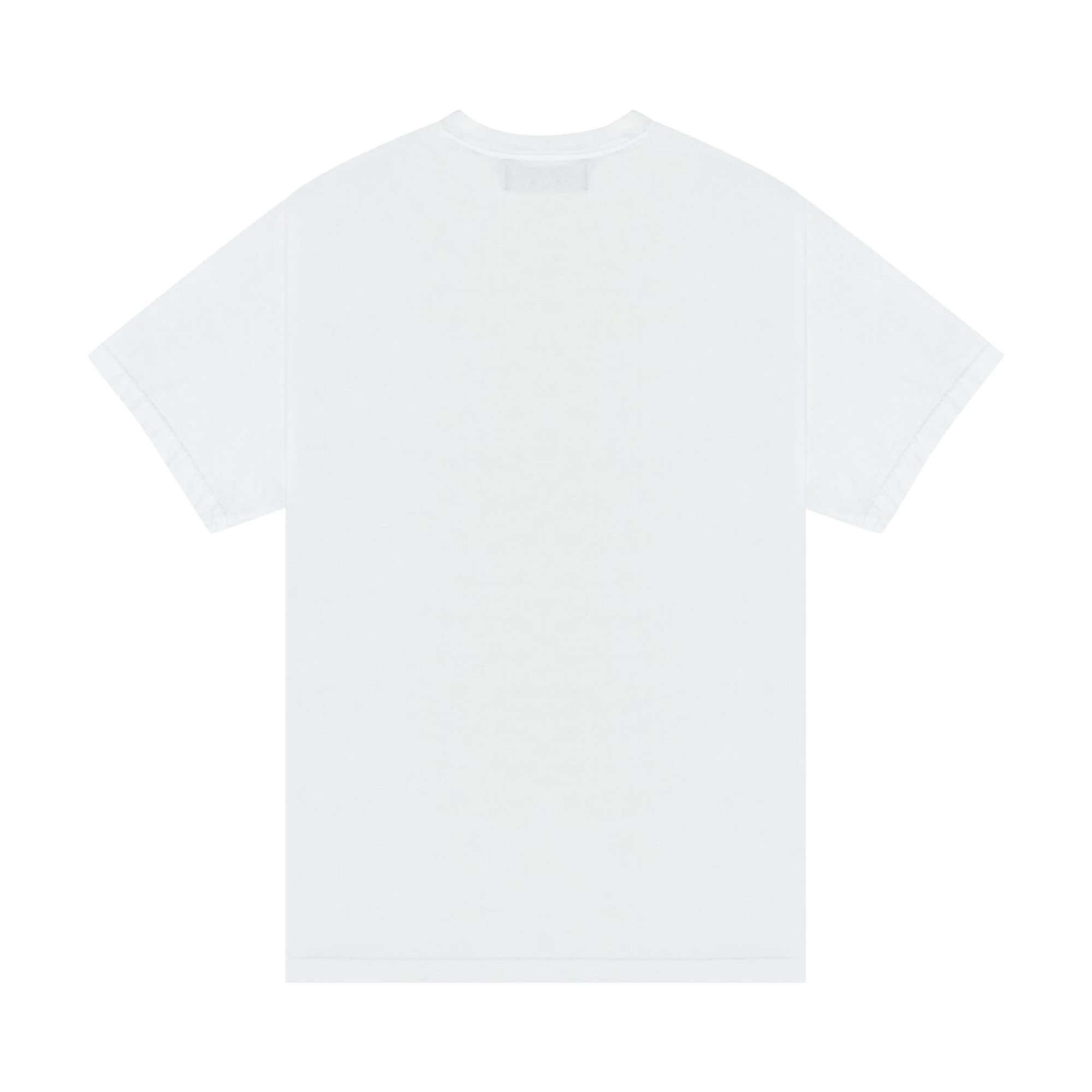 Buy Denim Tears The Virginia 1619 Tee 'White' - 101 500 25