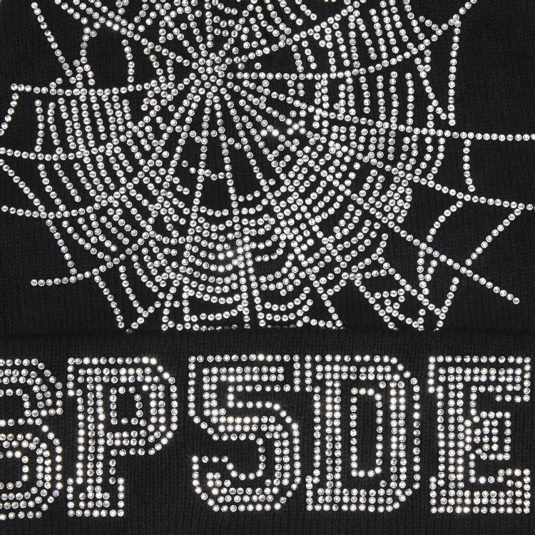 Sp5der Web Beanie Black