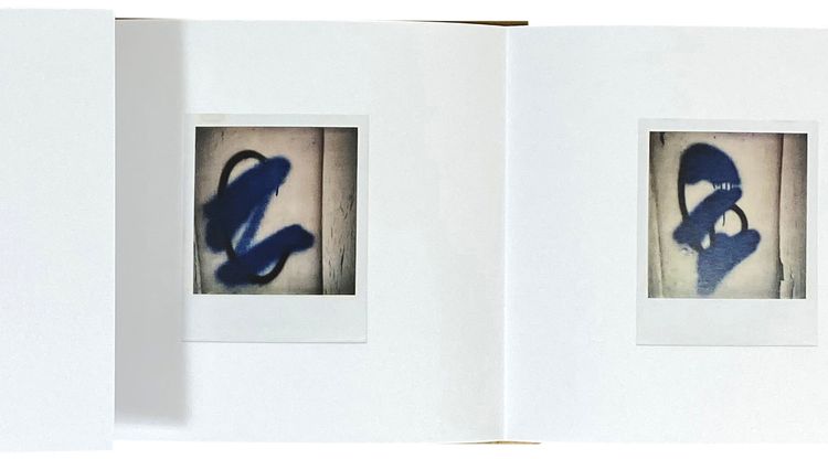 Colors The Polaroids by Dennis Hopper