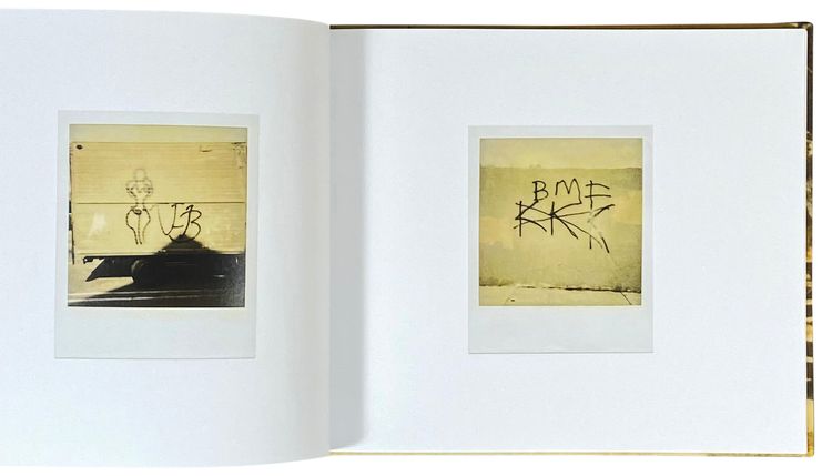 Colors The Polaroids by Dennis Hopper