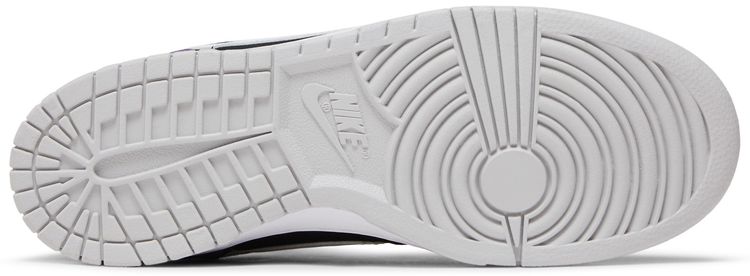 Big Nike Low Raptors