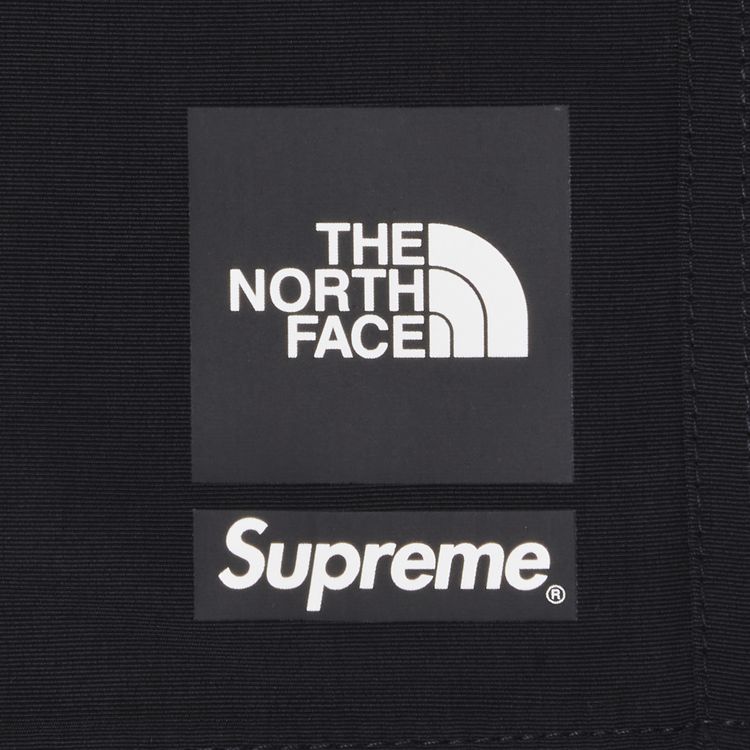 Buy Supreme x The North Face Nylon Short 