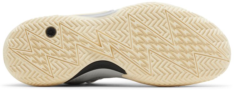 Li Ning Wade Son of Flash Grey Boy