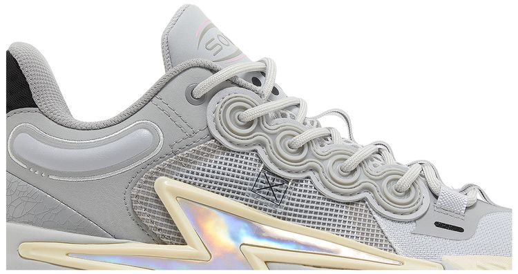 Li Ning Wade Son of Flash Grey Boy