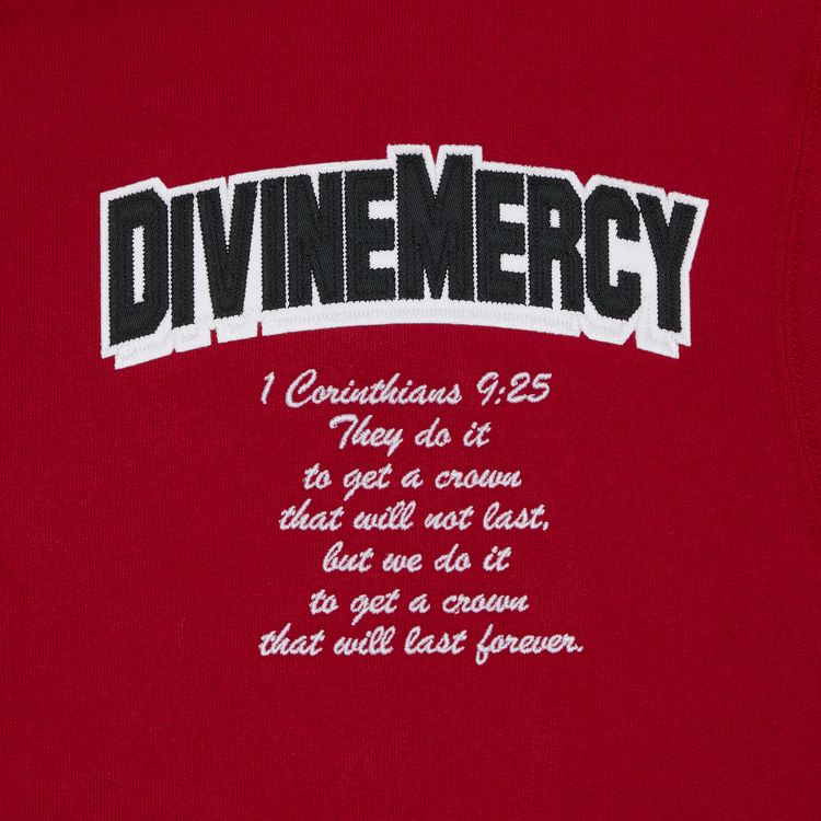 Supreme Salvation Zip Up Hooded Sweatshirt Red