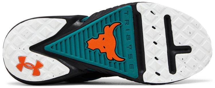 Under Armour Project Rock 5 305