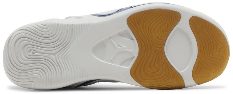 Air Jordan Tatum 1 GS Denim