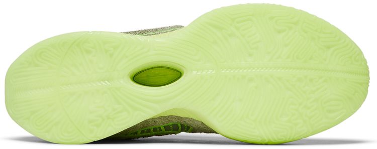 LeBron 21 Algae