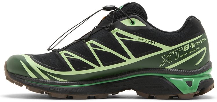 XT 6 GORE TEX Black Eden