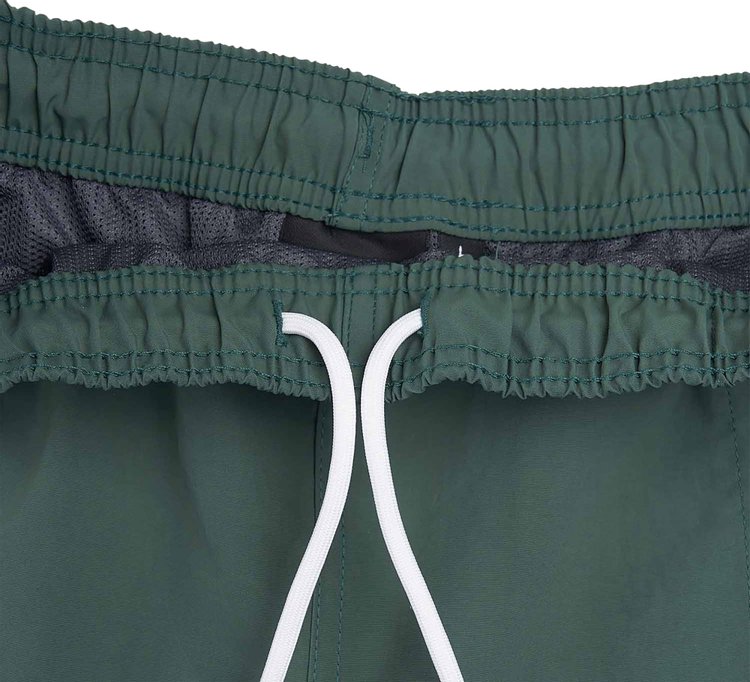 Stussy Big Basic Water Shorts Emerald